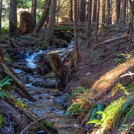 Roberts Creek Forest Haven Hideaway מראה חיצוני תמונה